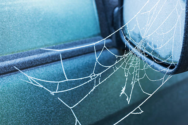 istock frozen spider web on side view mirror of car 505874168