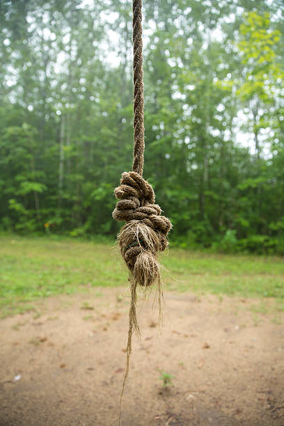 istock Noose, Hanging Tied Knot 505876462