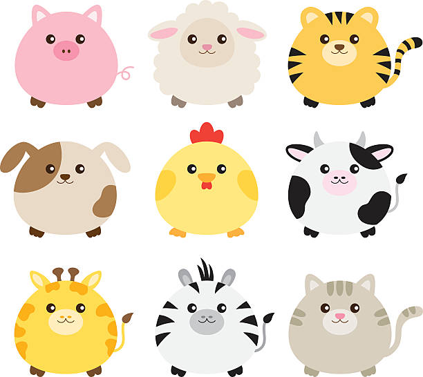 Fat Animal Set Vector illustration of fat animals including pig, sheep, tiger, dog, chicken, cow, giraffe, zebra and cat. chubby cat stock illustrations
