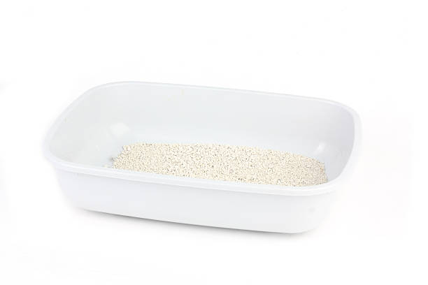 istock Cat litter box isolated on white 505887957