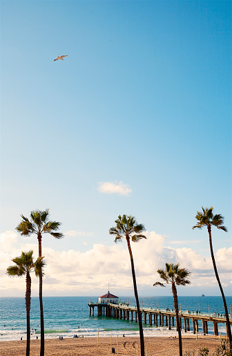 Manhattan Beach pier, Los angeles, California