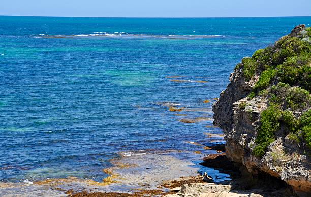 istock Limestone Rock with Indian Ocean at Cape Peron 505889306