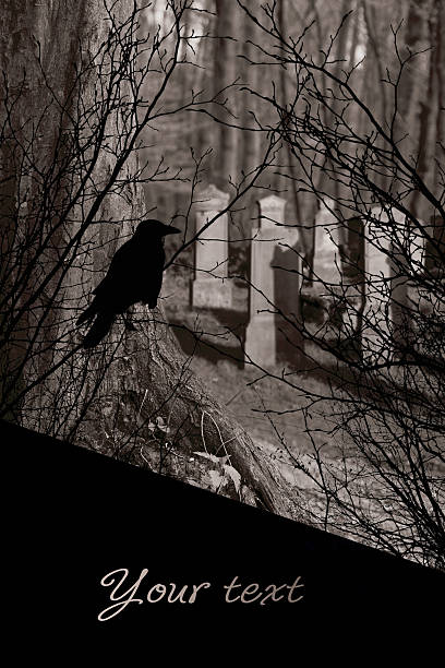 istock old gravestones and black raven 505889329