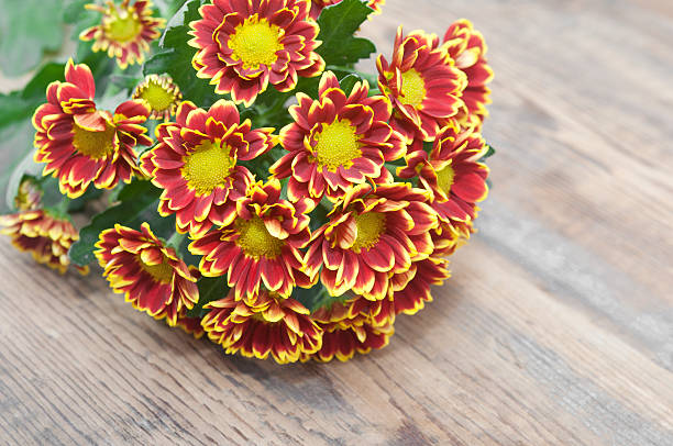 istock Bouquet of beautiful chrysanthemums on table close-up 505891009