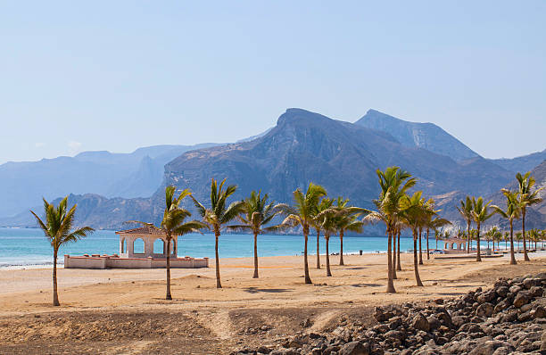 Beach in Oman Beautiful beach near Al Mughsayl, Oman. oman photos stock pictures, royalty-free photos & images