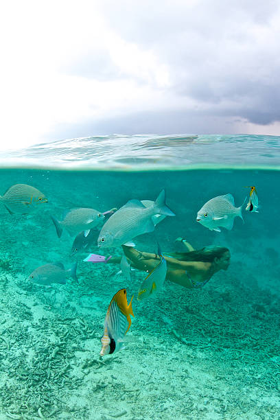istock Swiming girl behind some tropical fish 505891618