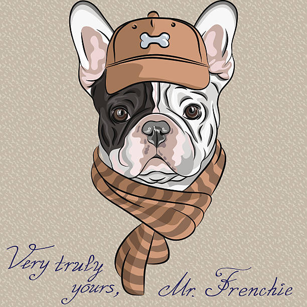 vector funny cartoon hipster dog French Bulldog breed hipster dog French Bulldog breed in a brown cap and scarf hipster dog stock illustrations