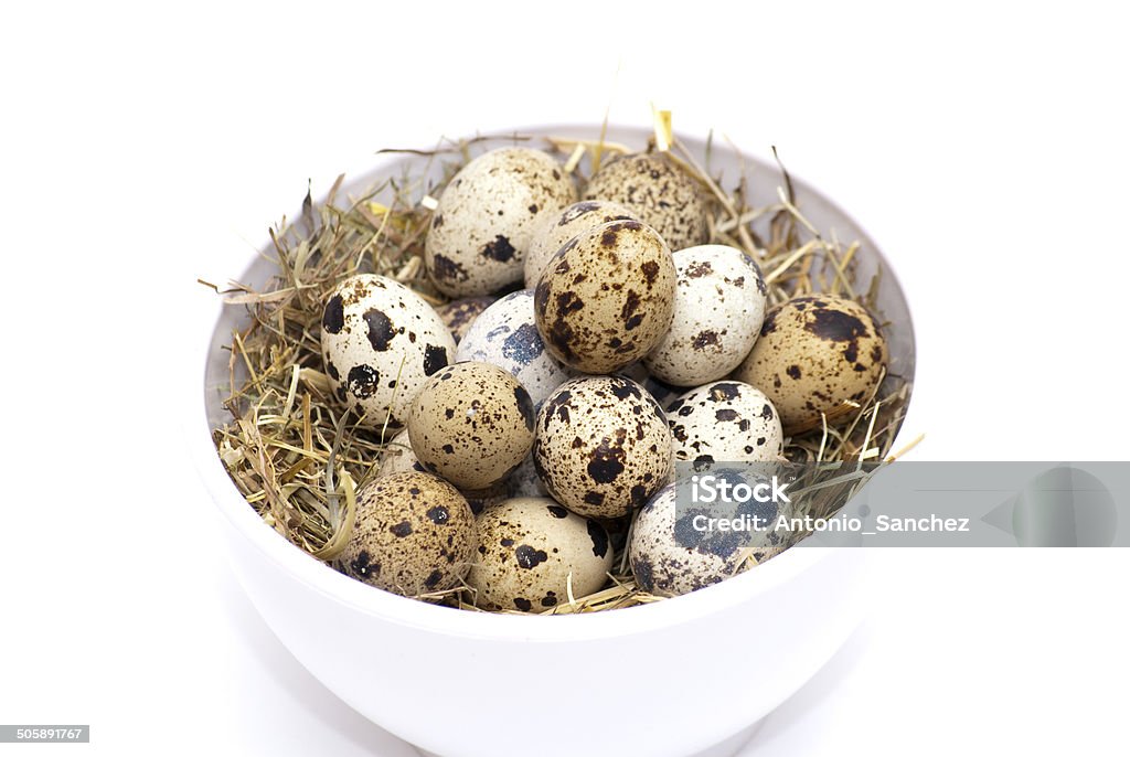 Ovos de codorna - Foto de stock de Alimentação Saudável royalty-free