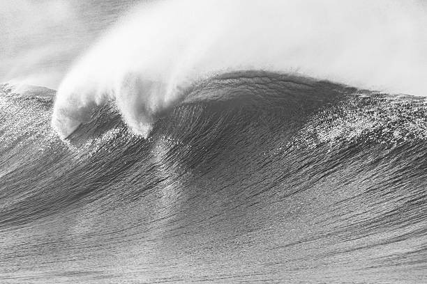 istock Ocean Wave Crashing Black White Tone 505891819