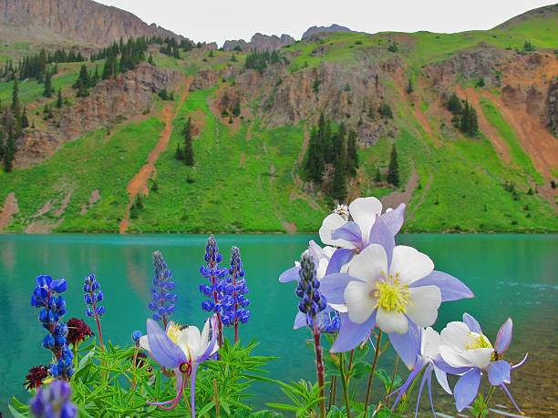 vista panorámica de las montañas wonderland - uncompahgre national forest fotografías e imágenes de stock