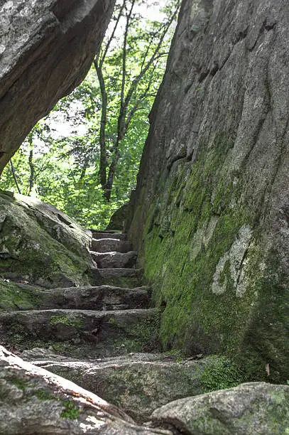 Photo of Natures Stairway
