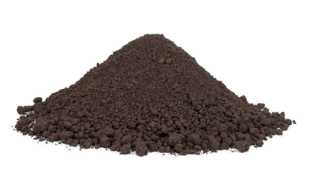 istock Pile of soil 505895270