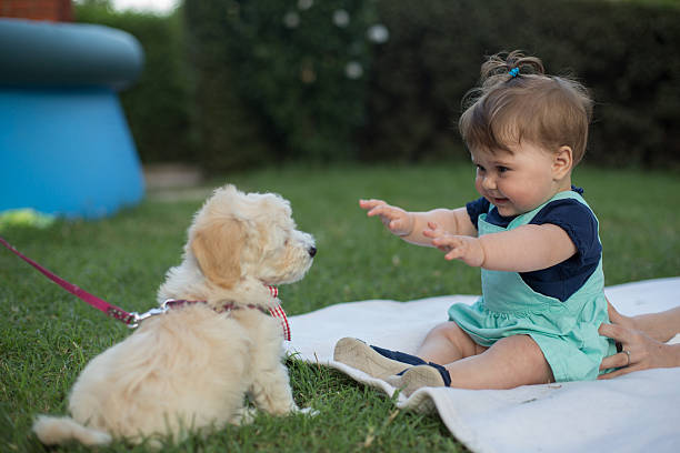 istock Baby having fun with its puppy 505913349