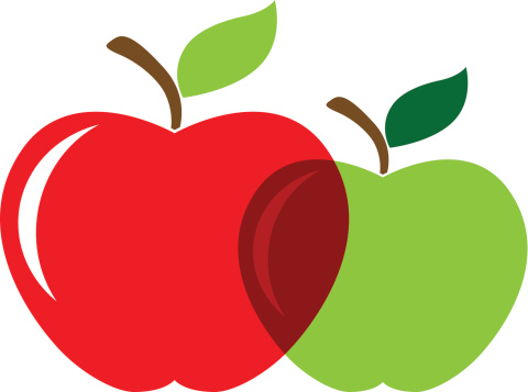 Two apples red and green in vector