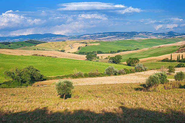 istock Summer Tuscan landscape, green field and blue sky 505914585