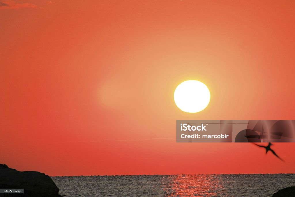 Nascer do sol - Foto de stock de Amarelo royalty-free