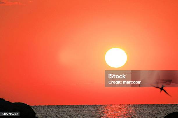 Foto de Nascer Do Sol e mais fotos de stock de Amarelo - Amarelo, Estupefação, Exterior