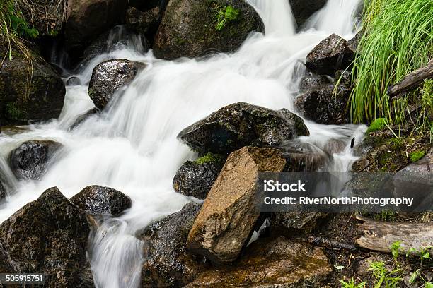 Waterfall In Forest Rocky Mountain National Park Stock Photo - Download Image Now - Beauty In Nature, Color Image, Colorado