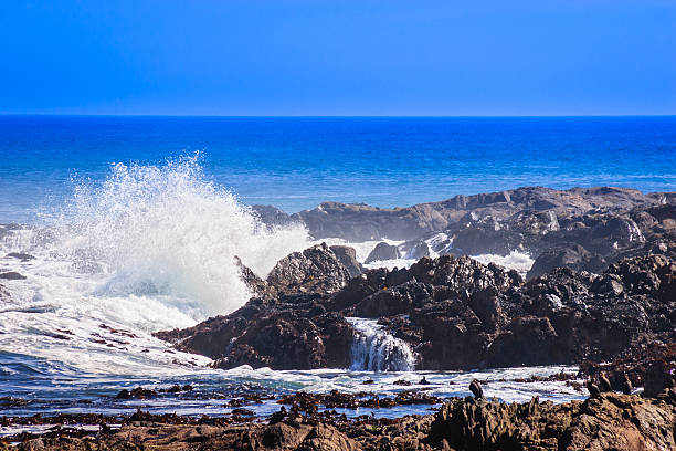 istock Atlantic Ocean, Cape Province, South Africa 505915917