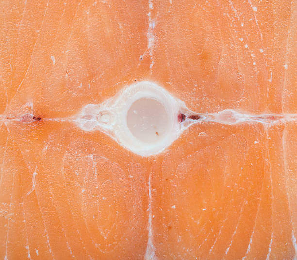 red fish,close up salmon slice texture