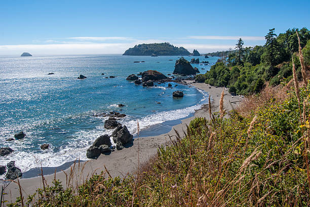 Looking down on a secluded beach near Trinidad, California.