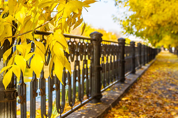 Paisaje de otoño otoño en un día soleado - foto de stock