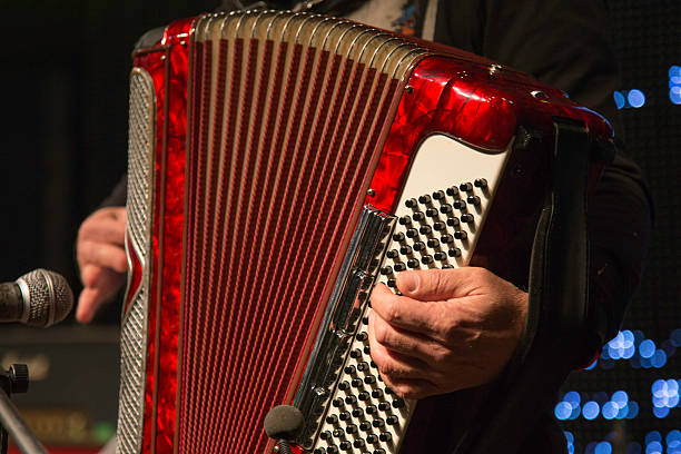 fisarmonica player - accordion foto e immagini stock