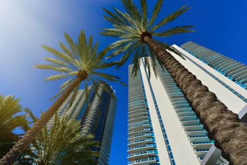 Modern residential buildings with palm tree against the dark blue sky and sun beams. Miami, Sunny Islas Beach