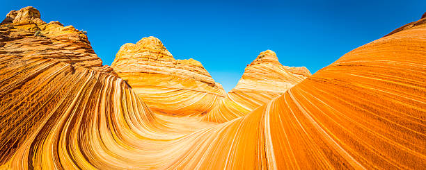 The Wave iconic desert strata golden sandstone Coyote Buttes Arizona The vibrant swirling strata and iconic curving canyons of The Wave, the landmark rock formation deep in the Vermillion Cliffs wilderness of Arizona and Utah, Southwest USA. ProPhoto RGB profile for maximum color fidelity and gamut. arizona landscape stock pictures, royalty-free photos & images