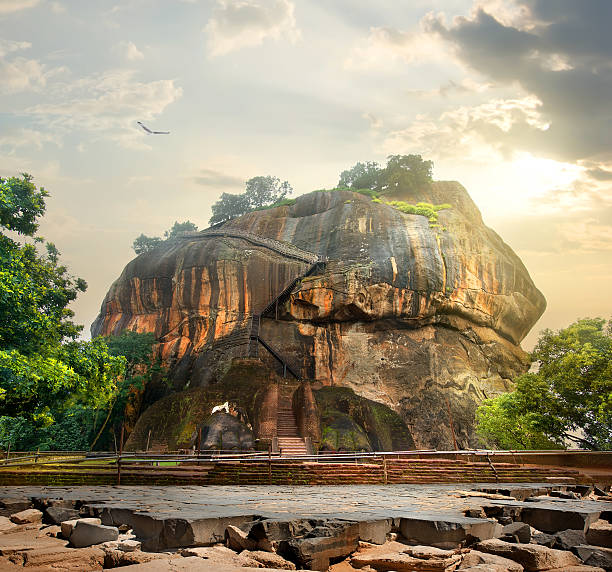 uccello di sigiriya - buddhism sigiriya old famous place foto e immagini stock