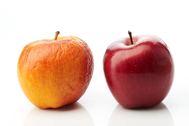 young rojo y casco amarillo manzanas - apple red delicious apple studio shot fruit fotografías e imágenes de stock