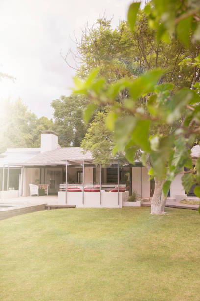 istock Manicured front lawn of modern house 505935807