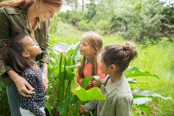 istock Students and teacher examining plants outdoors 505935921