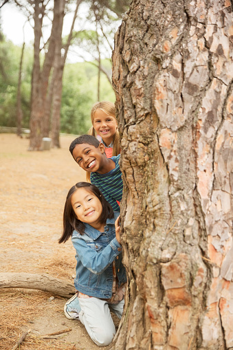 Niños que se asoman desde detrás de un árbol en el bosque photo