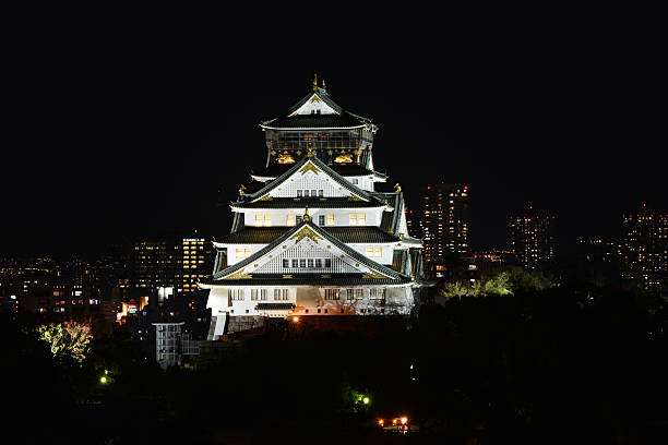 o castelo de osaka à noite, osaka, japão - toyotomi hideyoshi - fotografias e filmes do acervo