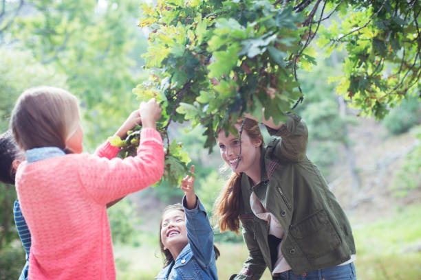 istock Students and teacher examining leaves outdoors 505936491
