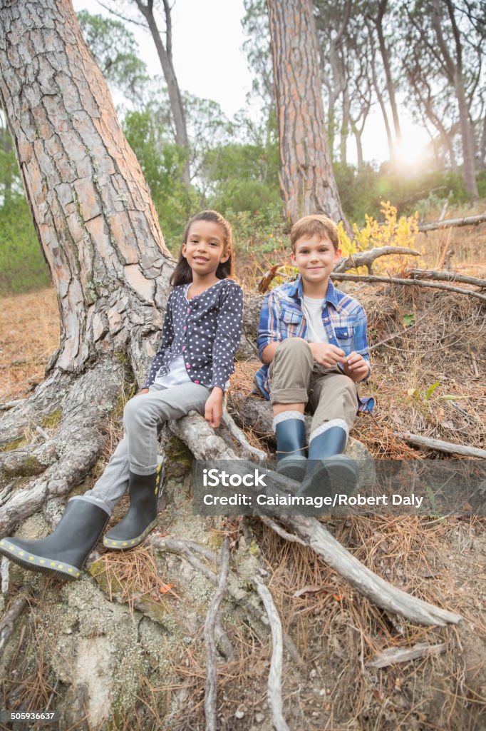 Children sitting on tree roots in forest  Field Trip Stock Photo