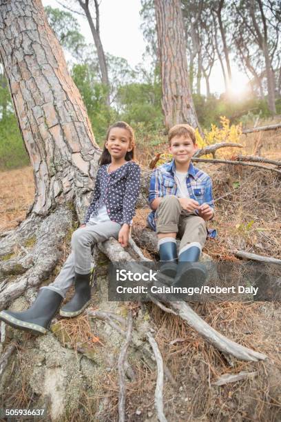 Children Sitting On Tree Roots In Forest Stock Photo - Download Image Now - Field Trip, 6-7 Years, 8-9 Years