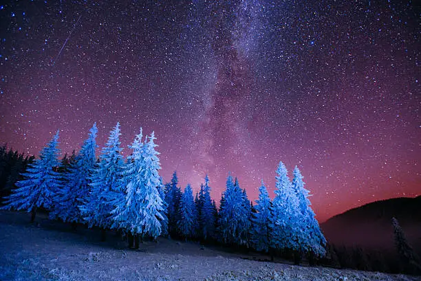 Photo of magic tree in starry winter night