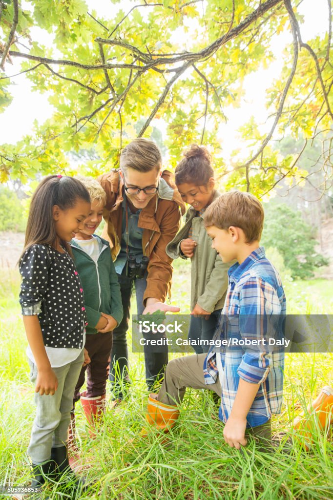Students and teacher examining leaf outdoors  Child Stock Photo