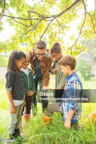 Students And Teacher Examining Leaf Outdoors Stock Photo - Download Image Now - Child, Nature, Teacher