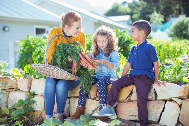 istock Teacher and students in vegetable garden 505937233
