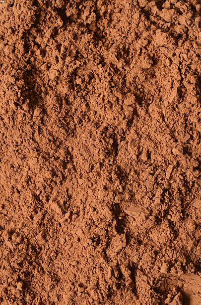 istock Raw organic carob powder 505944042