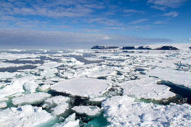 istock Pack ice in Antarctica on sunny day 505945278