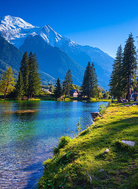 istock The Chamonix, City Park is illuminated by sunset 505946664