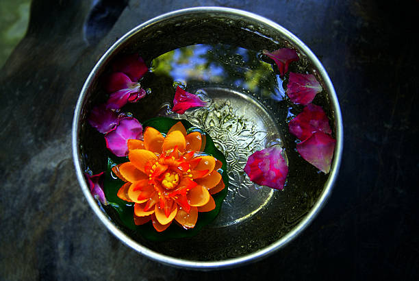 istock Colorful flowers in a bowl with water 505947268
