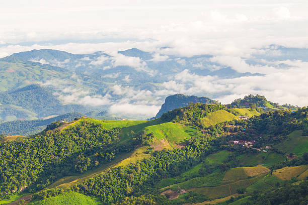 istock Fog on mountain in tropical rainforest 505947880