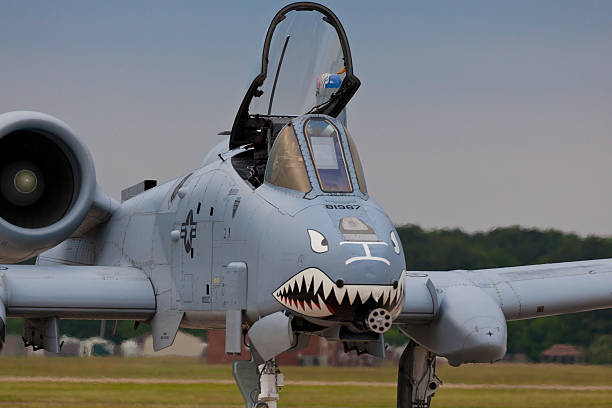 Hampton, USA - May 13, 2011: The Fairchild Republic A-10 Thunderbolt II displayed at the Langley Air Force Base located in Hampton, VA during The 2011 Air Power Over Hampton Roads Open House and Air Show on May 13, 2014. The A-10 more commonly known as Warthog or Hog is a twin-engine jet aircraft  designed for close air support of ground forces.