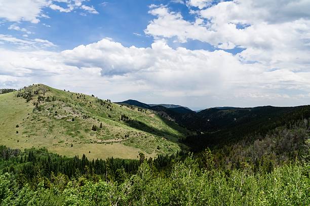 istock Colorado Landscape in Summer 505950743