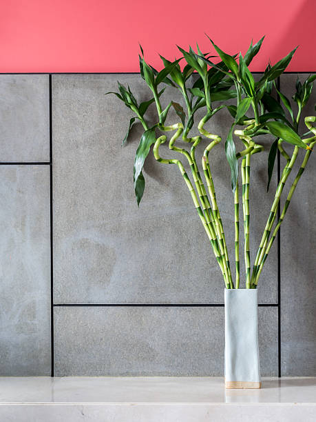 istock Blank modern room with vase of Lucky bamboo (Belgian evergreen) 505951039